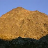 Habicht in der Morgensonne, copyright by Insbrucker-Hütte