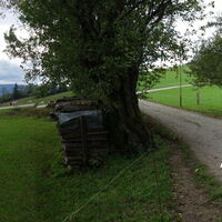 Aufstieg zum Holzkogel