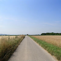 Radweg zwischen Feldern