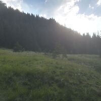 Bei Sonnenaufgang kurz vor der Arzbergalm