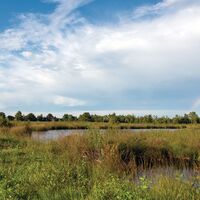 Radeln auf dem OC 3 - Rund um Venne - Mühle, Moor und Varusschlacht