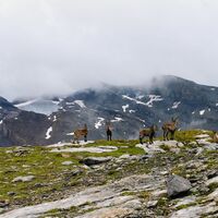 Richtung Rote-Tötz- Lücke