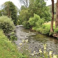 Wir wandern an der Liesing entlang