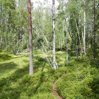 Haukkavuoren Naturpfad