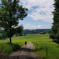 Wanderweg bergab durch malerische Wiesen