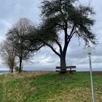 Sitzbank mit Rettungspunkt SM 3878