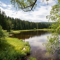 Am Schluchsee