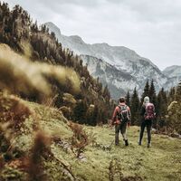 Hoch über´m Johnsbachtal (2)