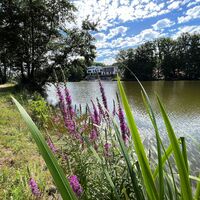 Blick auf das PETERS Hotel &amp; Spa am Jägersburger Brückweiher