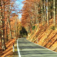 Gaisberg Landesstraße Judenbergalpe zwischendrin Ansicht: Süd nach Nord