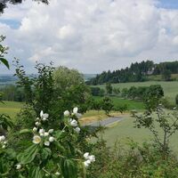 Rund um den Kulm bei Saalburg