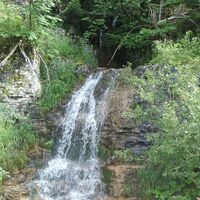 Wildwaser im Marchgraben