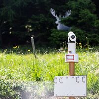 Fauna der Region - findest du alle 9 Tiere?