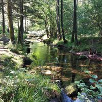 Naturweg entlang der Eyach