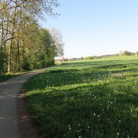 Weg kurz vor Frechenrieden