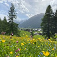 Aussicht auf Chamues-ch