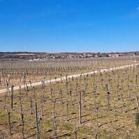 auf der Felser Aussichtswarte