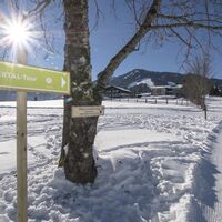 Beschilderung der Schneeschuhtour Obertal in Rohrmoos