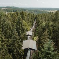 Baumkronenweg Kopfing
