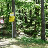 Aufstieg zur Starhembergwarte
