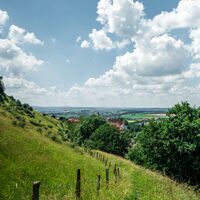 Malereiche Richtung Stadtwasser