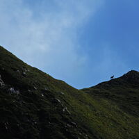 Präbichl - Eisenerzer Reichenstein