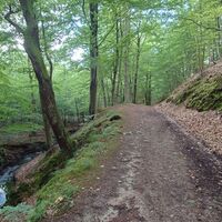 RI9 Kahlenberg-Route Bachlauf