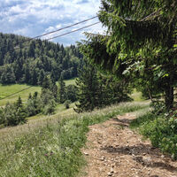 Wege