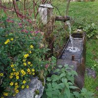 Brunnen in Elmleiten, Joglland-Waldheimat in der Oststeiermark