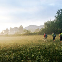 Morgennebel bei Schindhard