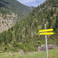 Selbe Stelle mit Abzweig und sogar eine Beschilderung. Hier  startet der Aufsieg zum Schärtle, von dem aus man die Kohlberspitze besteigen kann.