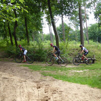 Mountainbiker Üfter Mark