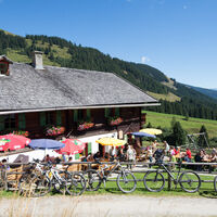 die Baumgartenalm im Mühlbachtal