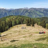 Gipfelwiese mit Bankerl