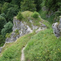 Steig am Rückweg