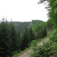 am Stadlberg