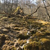Gütersteiner Wasserfälle - Sinterausläufe