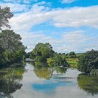Rheinauenlandschaft