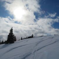 Ebenwald - Reisalpe
