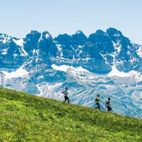 Privilegierte Sicht auf das Massiv Dents du Midi
