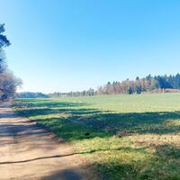 Frühlingsstimmung am Bruchtorfer Weg bei Bad Bevensen