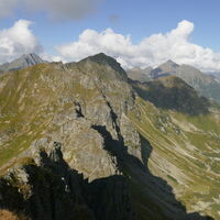 der weitere Verlauf