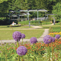 Kurpark Bad Bevensen