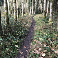 Idyllischer geht es nicht