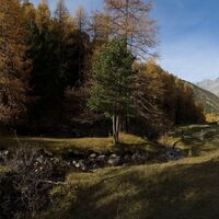 S-charl zwischen Scuol und Tschierv