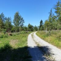 Langforchenweg