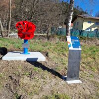 8. Francis-Laufrad in Poitschach