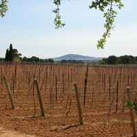 Wanderung auf der Via Domitia0005 ©CDRP34