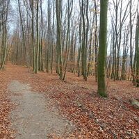 Abstieg zur Lourdesgrotte