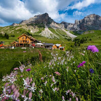 San Pellegrino - San Pellegrino Bike Trail - ©Archivio APT Val di Fassa - SanPellegrino Skiarea